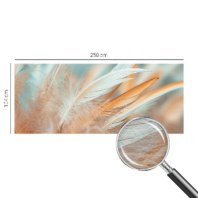 Non-woven photo wallpaper Delicate feathers