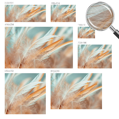Non-woven photo wallpaper Delicate feathers
