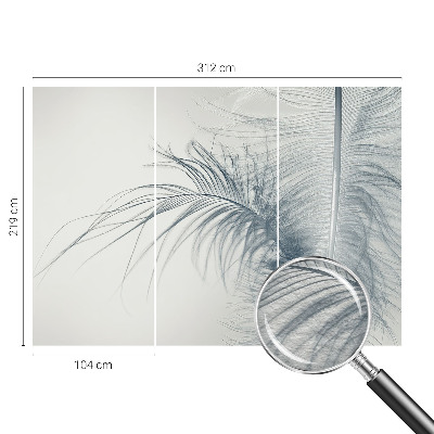 Photo wall mural Delicate feather