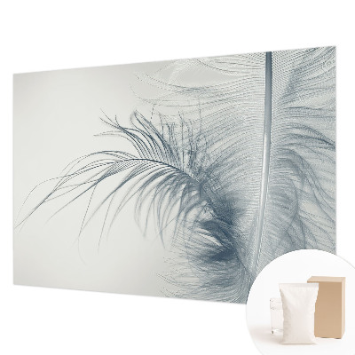 Photo wall mural Delicate feather
