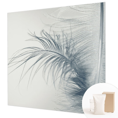 Photo wall mural Delicate feather