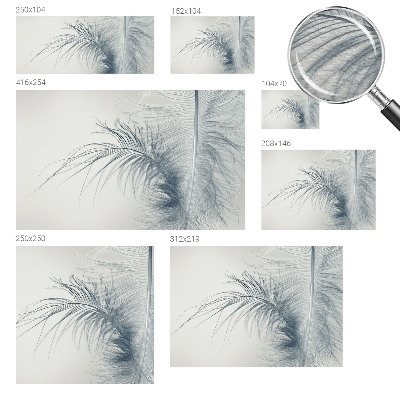 Photo wall mural Delicate feather