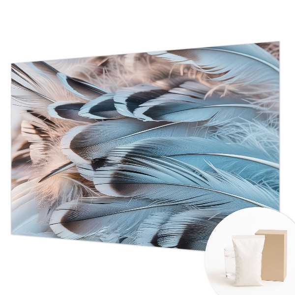 Wallpaper mural Blue feathers