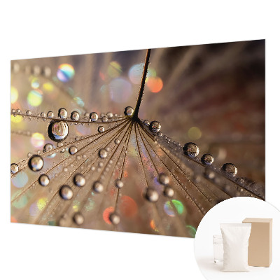 Wall mural Pearl drops