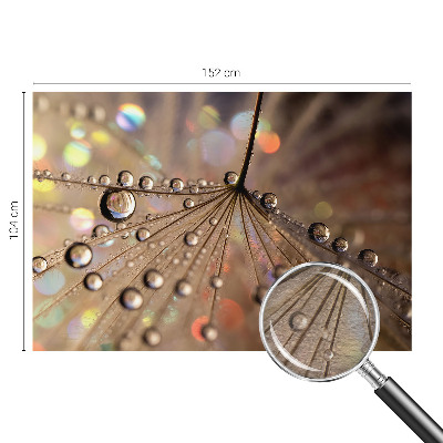 Wall mural Pearl drops