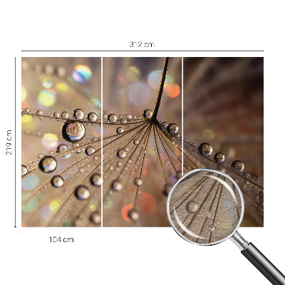 Wall mural Pearl drops