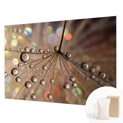 Wall mural Pearl drops