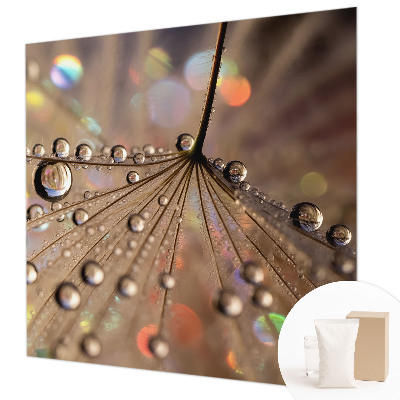 Wall mural Pearl drops