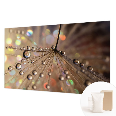 Wall mural Pearl drops