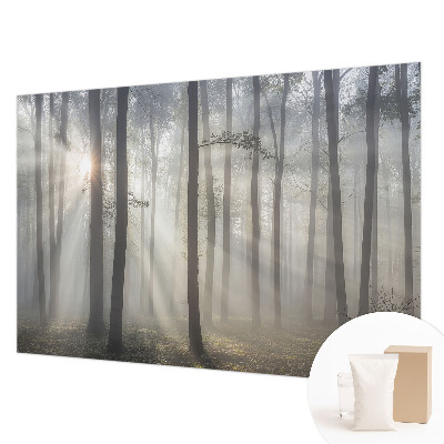 Wallpaper mural for living room Ethereal Forest