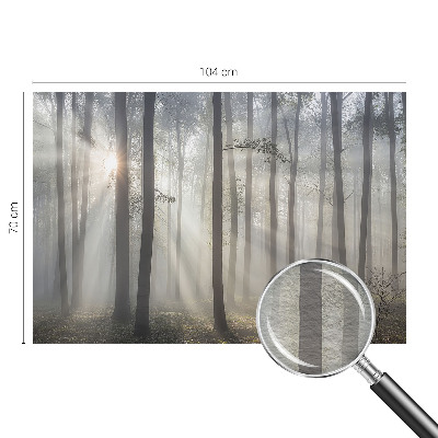 Wallpaper mural for living room Ethereal Forest