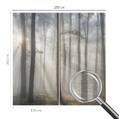 Wallpaper mural for living room Ethereal Forest