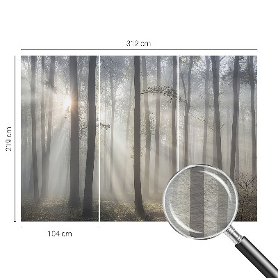 Wallpaper mural for living room Ethereal Forest