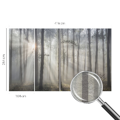 Wallpaper mural for living room Ethereal Forest