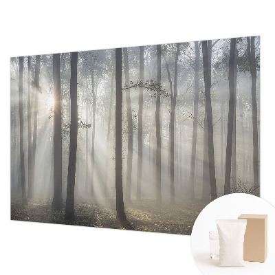 Wallpaper mural for living room Ethereal Forest