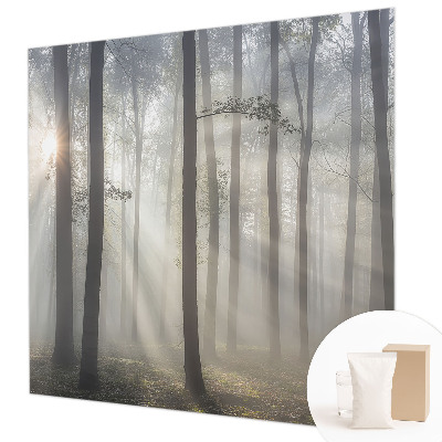 Wallpaper mural for living room Ethereal Forest