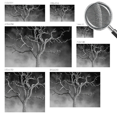 Non-woven wall mural Misty tree