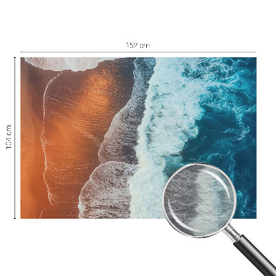 Photo wallpaper Marine symbiosis