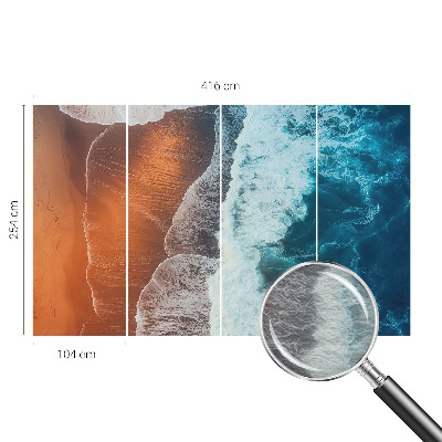 Photo wallpaper Marine symbiosis