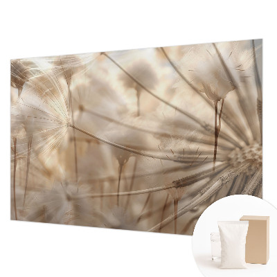 Photo wall mural Subtle dandelions