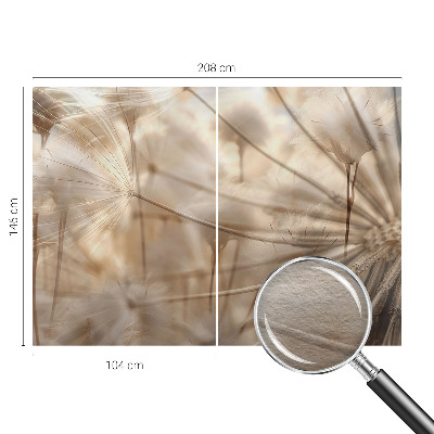 Photo wall mural Subtle dandelions
