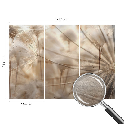 Photo wall mural Subtle dandelions
