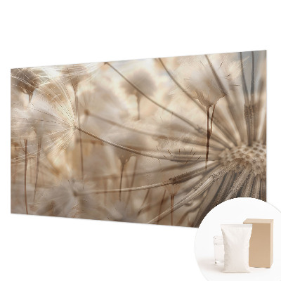 Photo wall mural Subtle dandelions
