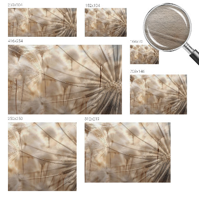Photo wall mural Subtle dandelions