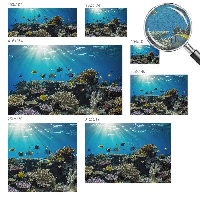 Modern wall mural for bedroom Underwater world