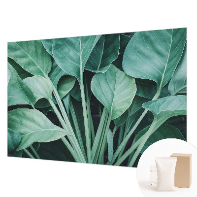 High quality wall mural wallpaper Green nature