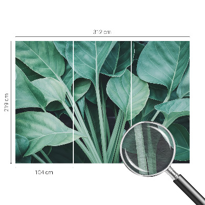 High quality wall mural wallpaper Green nature