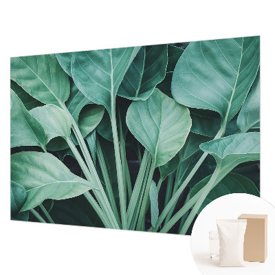 High quality wall mural wallpaper Green nature