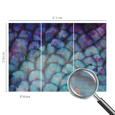 Custom size wall mural Colorful feathers