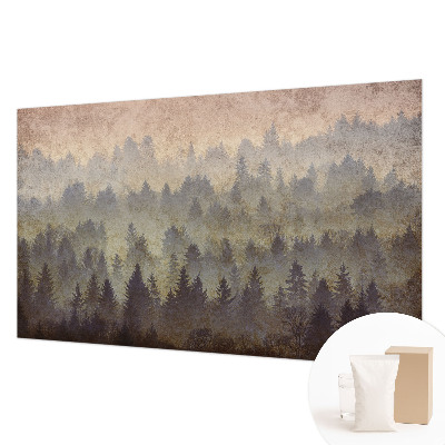 Photo wall mural Forest fog