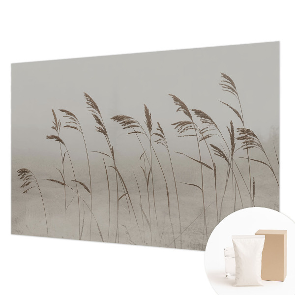 Non-woven wall mural Grasses in the fog