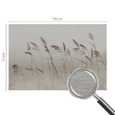 Non-woven wall mural Grasses in the fog