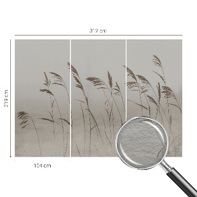 Non-woven wall mural Grasses in the fog