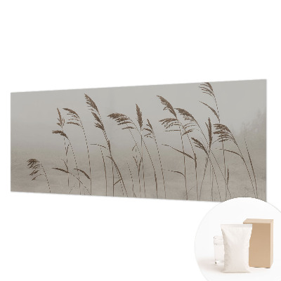 Non-woven wall mural Grasses in the fog
