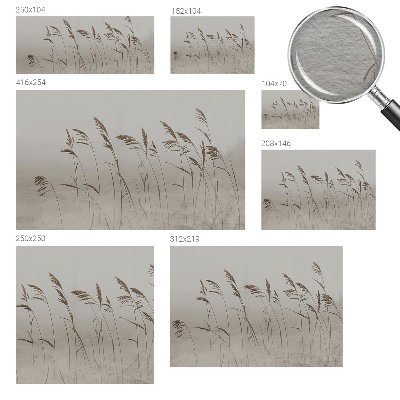 Non-woven wall mural Grasses in the fog