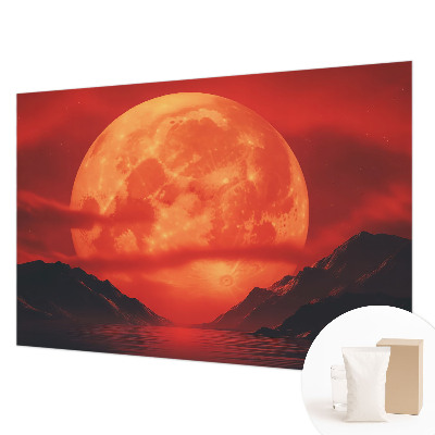 Large wall mural Nighttime phenomenon