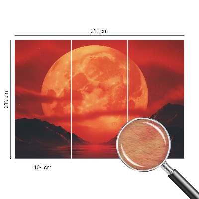 Large wall mural Nighttime phenomenon