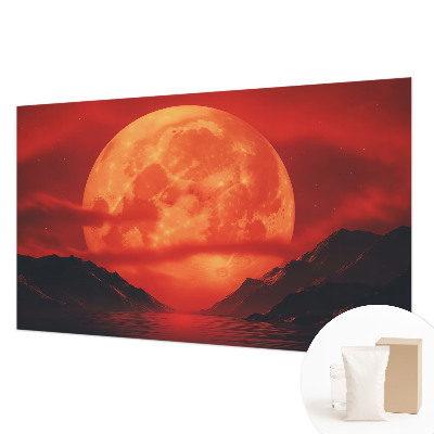Large wall mural Nighttime phenomenon