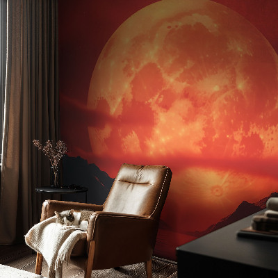 Large wall mural Nighttime phenomenon