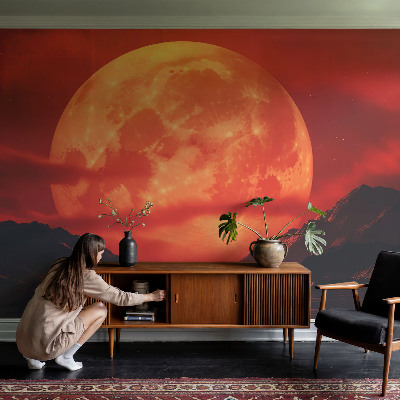 Large wall mural Nighttime phenomenon