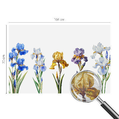 Wallpaper mural Iris flowers