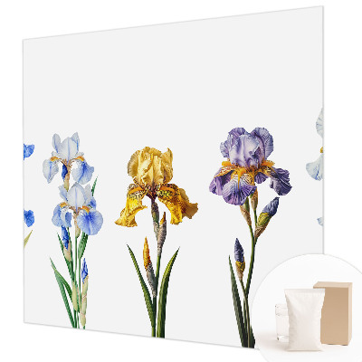 Wallpaper mural Iris flowers