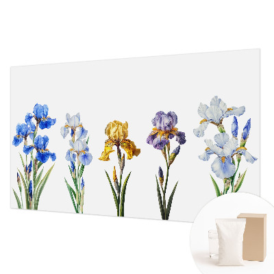 Wallpaper mural Iris flowers