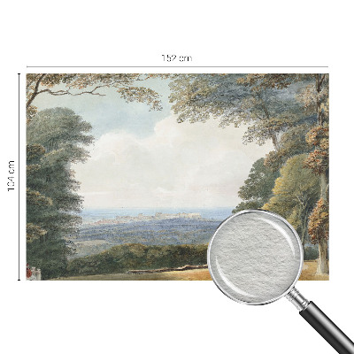 Large wallpaper mural Wooded landscape