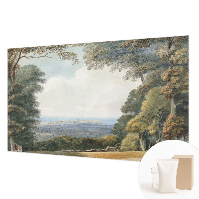 Large wallpaper mural Wooded landscape