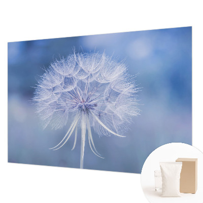 Non-woven photo wallpaper Blue delicacy